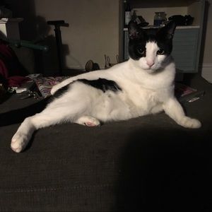 Meet your Posher, Holly